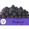 Табак Tangiers Burley Noir - Blackberry (Ежевика) 250 гр