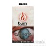 Табак Burn - Bliss (Личи с мятой) 100 гр