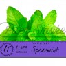 Табак Tangiers F-line - Spearmint (Курчавая Мята) 250 гр